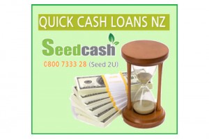 image of Seed Cash